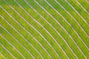 Hava perspektifinden çapraz yapıya sahip yeşil doğal arkaplan