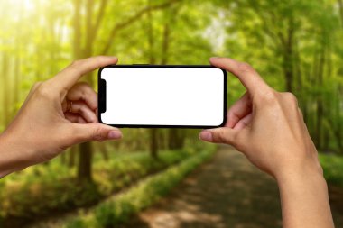 Ormanın önündeki beyaz ekranlı telefonu tutan eller.