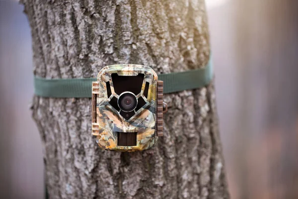 Trail-Kamera zur Überwachung von Wildtieren an einem Baum mit grünem Gurt befestigt — Stockfoto