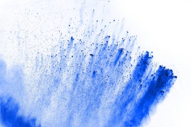 Beyaz arka planda mavi renkli toz patlaması. Renkli bulut. Renkli toz patlar. Boya Holi.