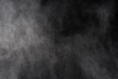 Siyah arka planda beyaz toz patlaması. Renkli bulut. Renkli toz patlar. Boya Holi.