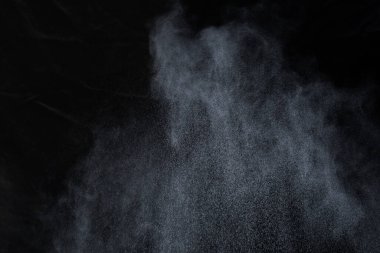 Siyah arka planda beyaz toz patlaması. Renkli bulut. Renkli toz patlar. Boya Holi.
