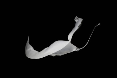 Siyah arkaplanda beyaz boya sıçraması.