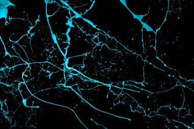 Siyah arkaplanda mavi boya sıçraması.