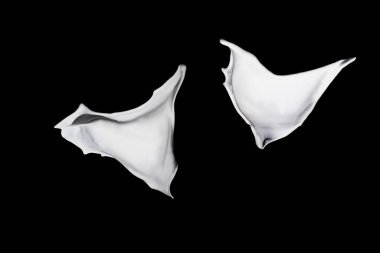 Siyah arkaplanda beyaz boya sıçraması.