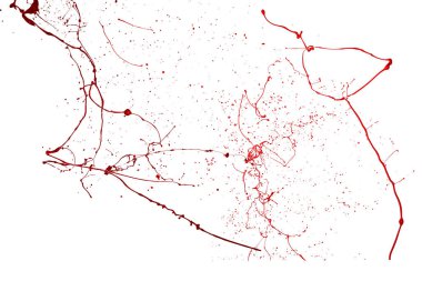 Beyaz arkaplanda kırmızı boya sıçraması.