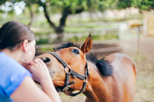 Vrouw aanraken van de neus van paard — Stockfoto