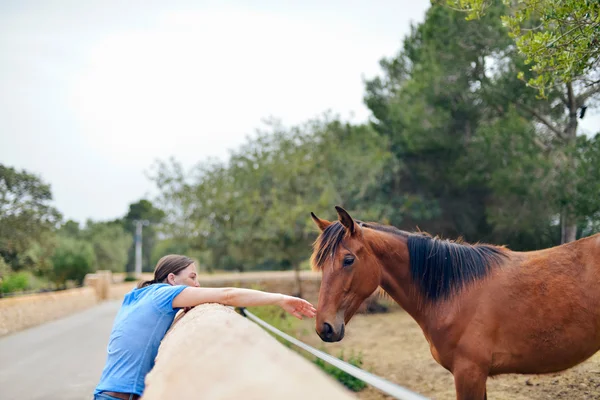 Vrouw aanraken van de neus van paard — Stockfoto