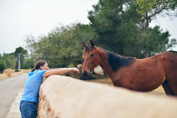 Vrouw aanraken van de neus van paard — Stockfoto