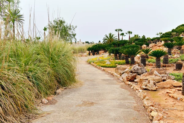 Walking path in botanical garden. — Stock Photo, Image