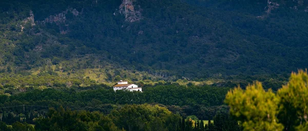 Bílý dům v lese. Mallorca. — Stock fotografie