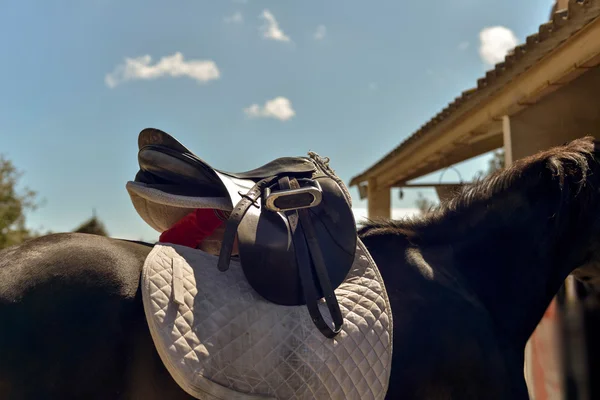 Zadel op de rug van een paard — Stockfoto