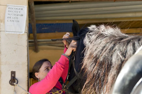 Vrouw zetten horse halster — Stockfoto
