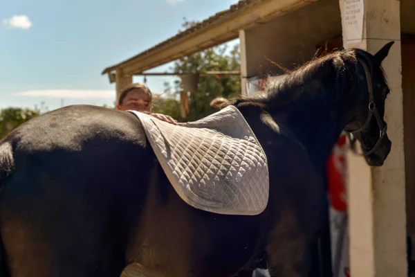 Ung kvinna förbereder baksidan av häst — Stockfoto