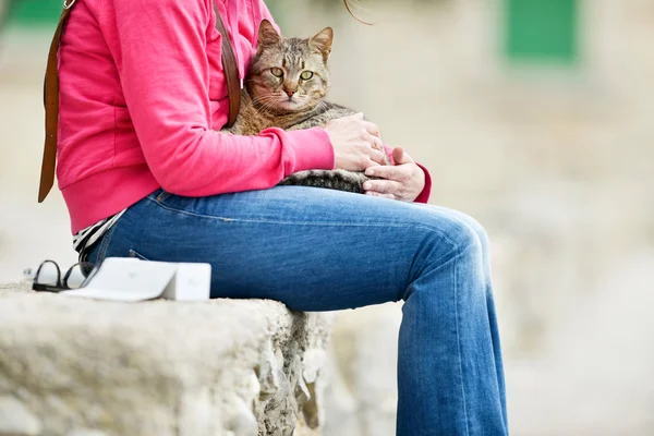 Табби-кот лежит на коленях у женщины — стоковое фото