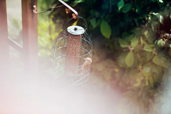 Alimentador de aves en el jardín — Foto de Stock