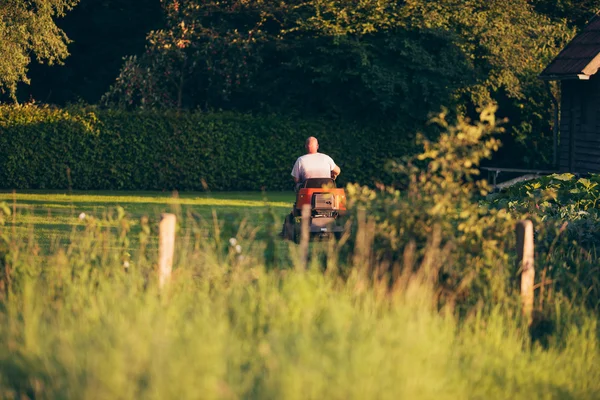 Vue arrière de l'homme sur tracteur — Photo