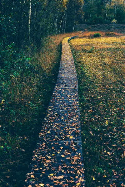 Boardwalk Natuurgebied Bedekt Met Gevallen Gele Herfstbladeren — Stockfoto