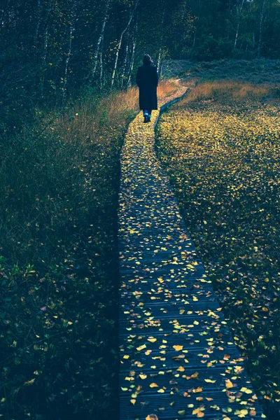 Siyah Paltolu Kadın Doğada Tahta Kaldırımda Yürüyor Düşen Sarı Sonbahar — Stok fotoğraf
