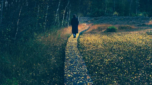 Woman Black Coat Walking Boardwalk Nature Reserve Covered Fallen Yellow — Stock Photo, Image