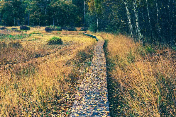 Boardwalk Natuurgebied Bedekt Met Gevallen Gele Herfstbladeren — Stockfoto