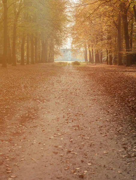 日当たりの良い秋の森のカントリーハウス — ストック写真