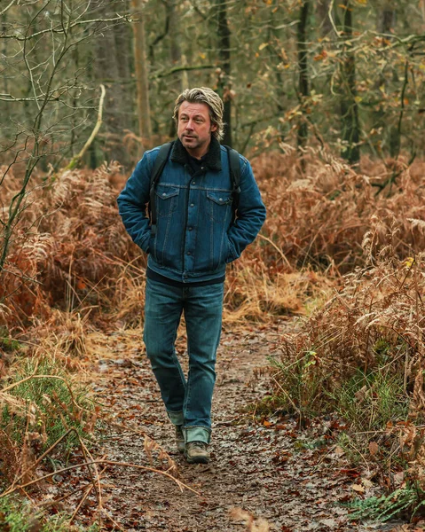 Sonbahar ormanlarında sırt çantalı bir adam yürüyüş yapıyor..