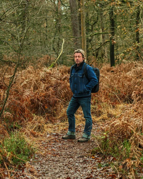 Sonbahar ormanlarında sırt çantalı bir adam..