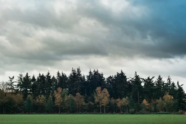 在乌云密布的天空下 一片秋天森林边的可耕地 — 图库照片