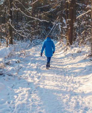 Mavi ceketli ve yünlü şapkalı bir kadın karlı ormanda yolda yürüyor. Arka görünüm.