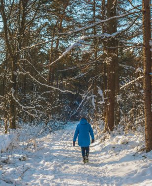 Mavi ceketli ve yünlü şapkalı bir kadın karlı ormanda yolda yürüyor. Arka görünüm.