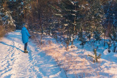 Mavi ceketli kadın güneşli kış ormanlarında bir patikada duruyor. Yan görünüm.