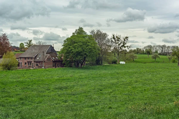 Стара Ферма Зеленому Горбистому Весняному Пейзажі Хмарним Небом — стокове фото