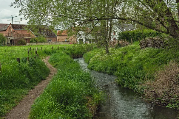 Pequeno Riacho Com Caminho Algumas Casas Uma Paisagem Exuberante Primavera — Fotografia de Stock