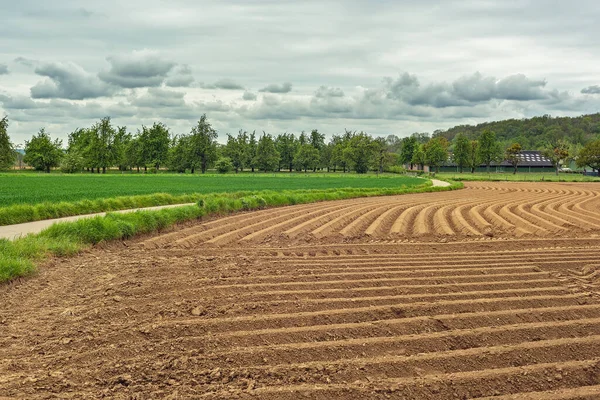 Terreno Agrícola Recién Preparado Con Pasto Verde Junto Árboles Bajo —  Fotos de Stock