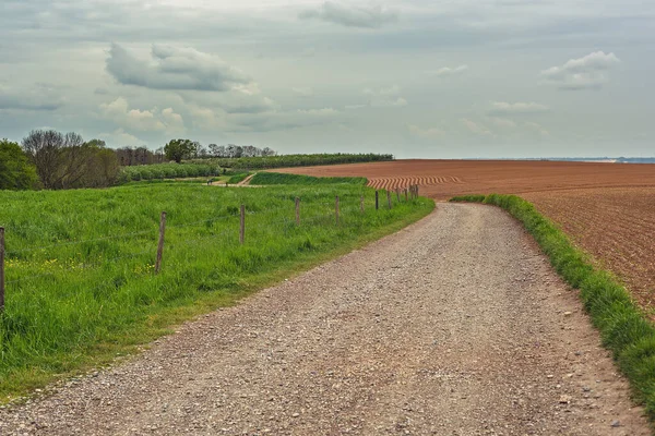 Camino Grava Entre Campos Rodantes Bajo Cielo Nublado — Foto de Stock