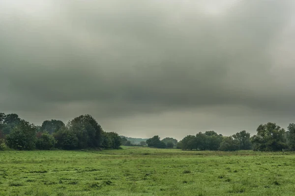 曇りの空の下で牧草地や木々の田園風景 — ストック写真