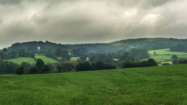 Hügelige Landschaft Mit Wiesen Und Bäumen Unter Bewölktem Himmel — Stockfoto