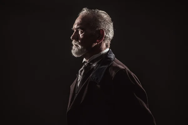 Vintage characteristic senior man with gray hair and beard. Stud — Stock Photo, Image