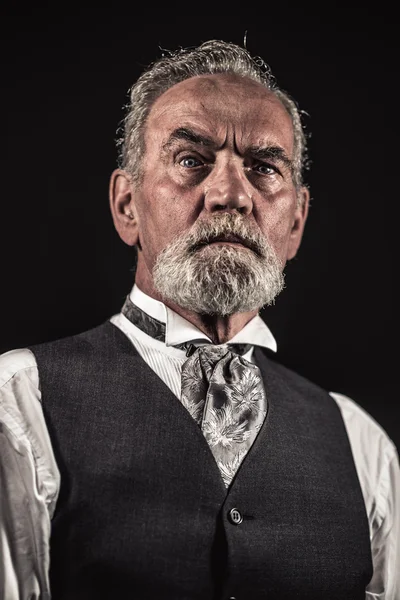 Homem sênior característica vintage com cabelo grisalho e barba. Garanhão — Fotografia de Stock