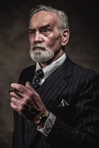 Cigar smoking characteristic senior business man with gray hair — Stock Photo, Image