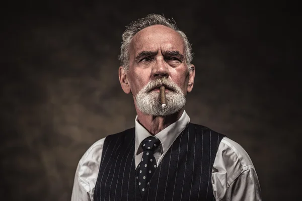 Cigar smoking characteristic senior business man with gray hair — Stock Photo, Image