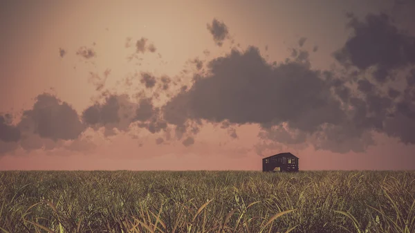 Alte verlassene Holzscheune auf Prärie bei Sonnenuntergang mit bewölktem Himmel. — Stockfoto