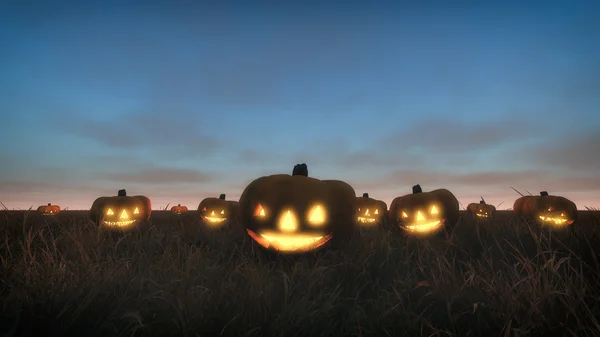 Field wih halloween pumpkins at dusk. — Stock Photo, Image