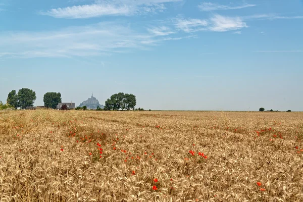 Campo de trigo na Normandia França com papoilas vermelhas — Fotografia de Stock