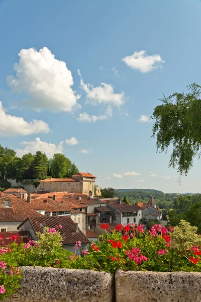 Rosa och röda blommor — Stockfoto