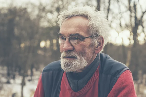 Viejo mirando a lo lejos en el bosque — Foto de Stock