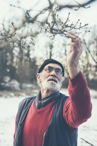 Old Age Man Touching a Twig — Stock Photo, Image
