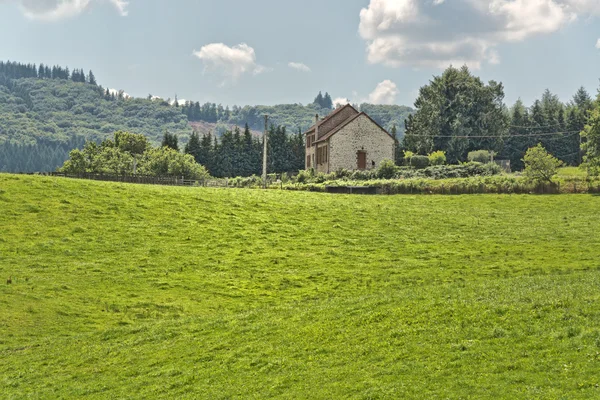 Panoramablick auf frisches Grünland — Stockfoto