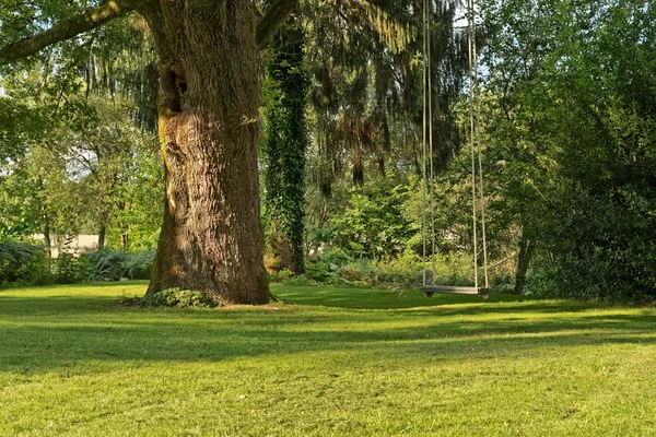 Swing en el Parque Verde — Foto de Stock
